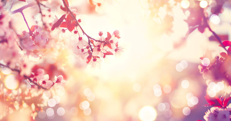 Fototapeta premium Piękna wiosny natury scena z różowym kwitnącym drzewem