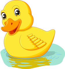cute duck cartoon swimming