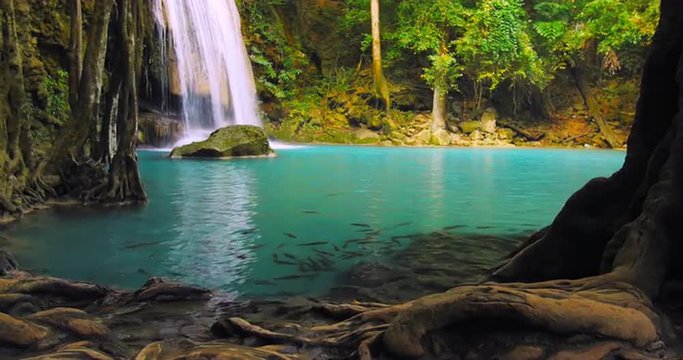 School of fish in emerald crystal clear lake. Thailand rainforest wildlife scene