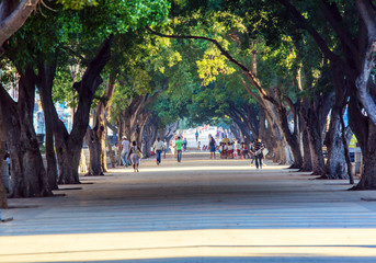  Central Park of Havana