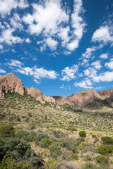 Big Bend National Park