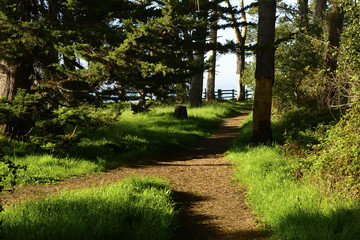 Fototapeta premium New Brighton State Beach and Campground, Capitola, California
