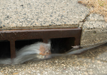 rushing water in storm drain