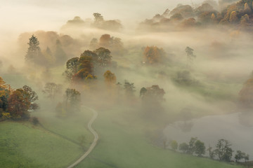 Morning misty fog lingering over trees at Loughrigg Tarn on an Autumn fresh morning.