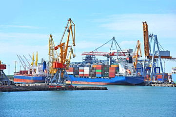 Cargo crane and ship