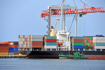 Cargo crane and ship