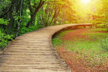 Wood path in the Plitvice national park