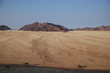 Evening over savanna in Namibia desert