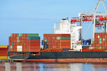 Cargo crane and ship