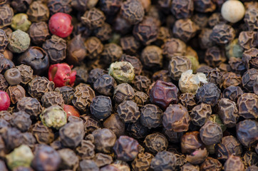 Multicolored Peppercorns