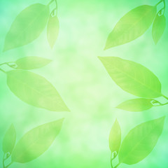green leaves and bokeh light background