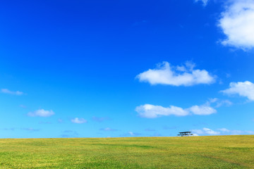 Fototapeta na wymiar Beautiful landscape, clean blue sky