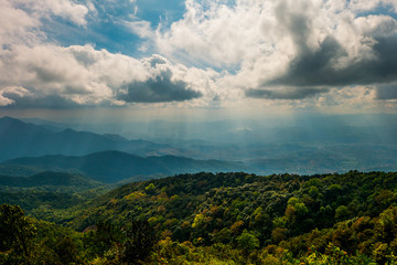 Mountain forest sly lanscape