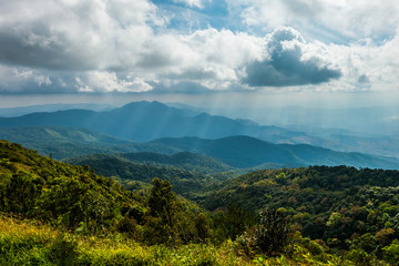 Mountain forest sly lanscape