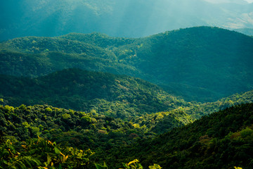 Mountain forest sly lanscape