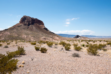 Big Bend National Park