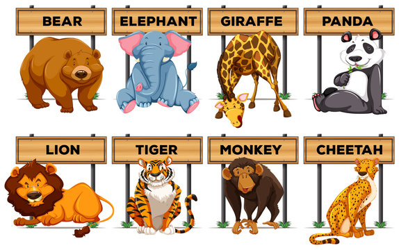 Many type of animals with wooden signs