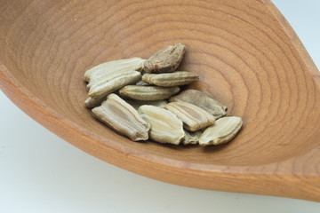 Bottleneck gourds seeds