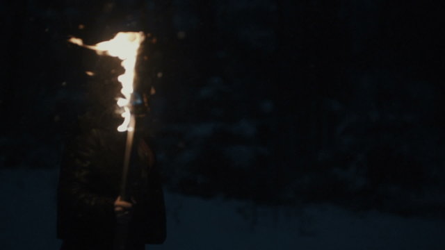 Portrait of a young mystic woman walking in the dark forest with a torch. Young woman with torch over dark night background. Slow motion. Winter season.