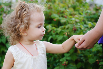 Beautiful curly girl picks a berry with the hands of the parent