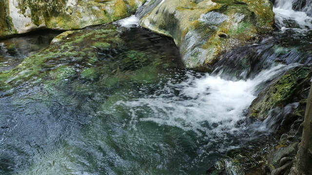 Natural bath of  the Natural Hot Steam at Khao Pra Bang Khram Wildlife Sanctuary. Closeup view.