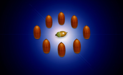 いじめ
（人間に例えた、大柄なドングリ達に取り囲まれ、いじめを受ける幼いドングリ）