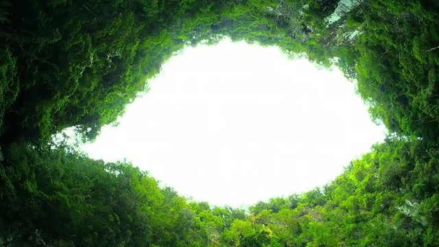 Breathtaking view from inside mountain cave overgrown with forest. Nature wonder