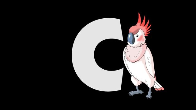 Letter C and Cockatoo (background)
Animated animal alphabet. HD footage with alpha channel. Animal in a background of letter.