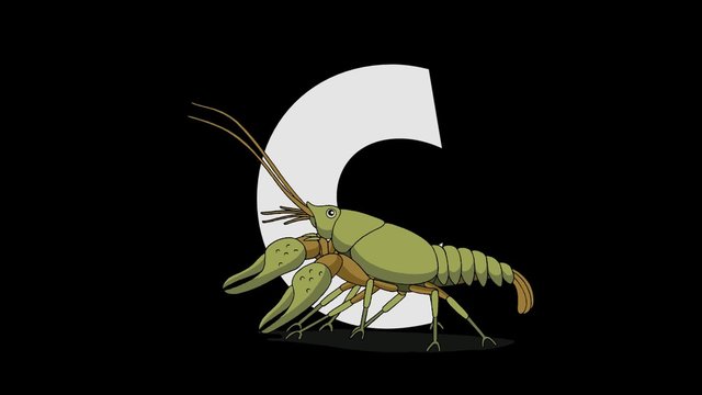 Letter C and Crayfish (foreground)
Animated animal alphabet. HD footage with alpha channel. Animal in a foreground of letter.