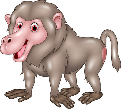 Cartoon Funny Baboon Isolated On White Bacjground