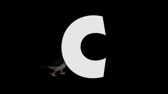 Letter C and Crow (background)
Animated animal alphabet. HD footage with alpha channel. Animal in a background of letter.