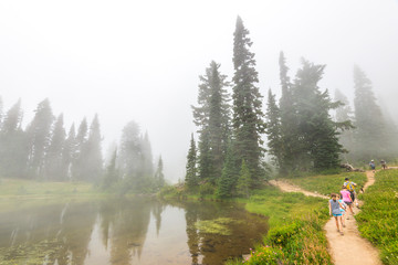 people,family  walking on path,scenic view of path in the forest