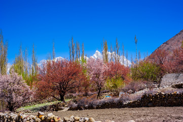 beautiful Landscape of Hunza Valley in Autumn season, Northern Area of Pakistan