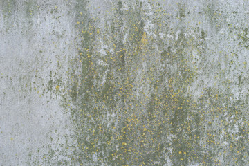 Wall fragment with attritions and cracks