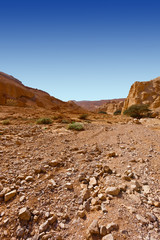 Desert in Israel