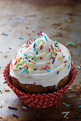 colorful cupcake on steel plate