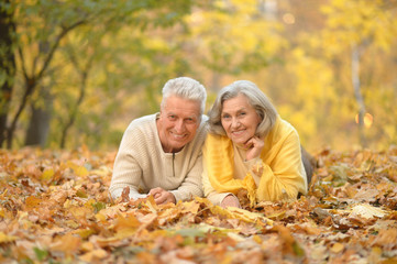 Senior couple in autumn park