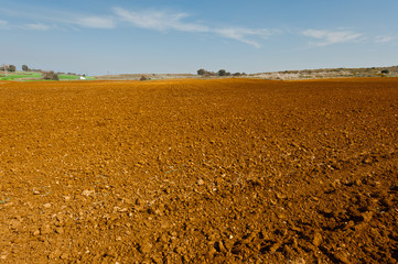 Plowed Fields