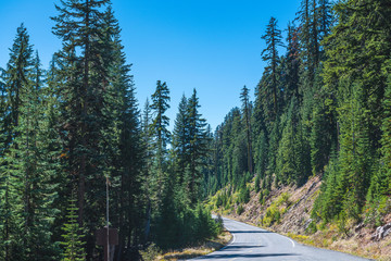 scenic view of the road with forest and  with mountain backgroun