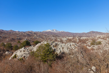 Mount Lovcen in Lovcen national park near Cetinje, Montenegro