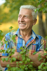 Fototapeta premium senior man in summer park