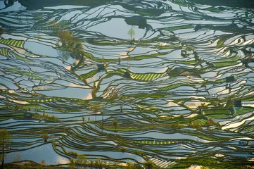 Selbstklebende Fototapeten Terraced rice field in water season in YuanYang, China © Songkhla Studio