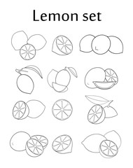Set of line drawing lemons