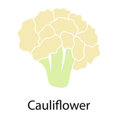 Fototapeta na wymiar Cauliflower icon