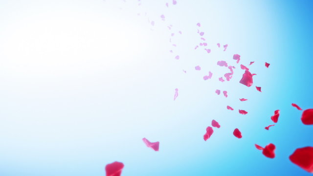 Rose Petals Sky Background (Loop). Calm background with flying red rose petals stream and copy space. Seamlessly loopable.
