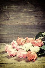 Rose Flowers on Wooden Backdrop