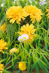 artificial flowers and grass background