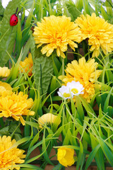 artificial flowers and grass
