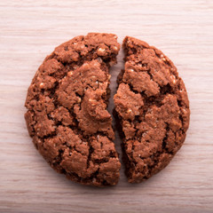 Closeup of chocolate cookie