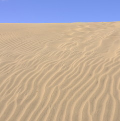 Ripples in the sand in a desert 